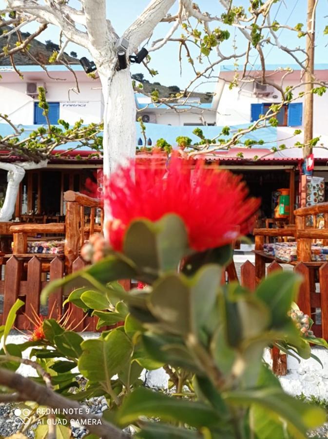 Appartamento Faragi Agia Roumeli Esterno foto